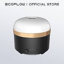 ����� ����� ECOFLOW ���� ����� ����� � ��� ��� 3000K+7000K