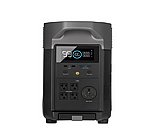 ���� ��� ����� EcoFlow DELTA Pro