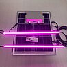 תאורת ספקטרום 100W UV לגידול צמחים