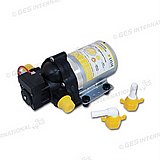 ����� ��� Lilie ���� ������ 7 ����/���