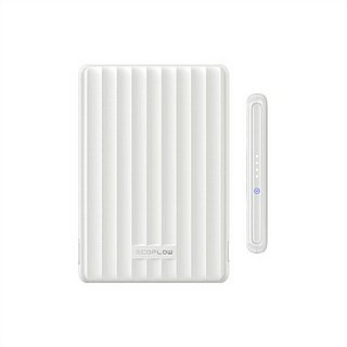 ����� ����� EcoFlow RAPID Mag (10,000mAh, 7.5W, ����� ������)