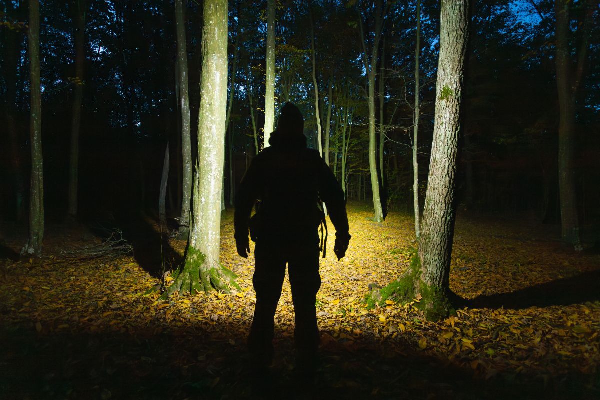 פנס ראש מומלץ: מדריך לבחירה חכמה פנס ראש מומלץ: מדריך לבחירה חכמה